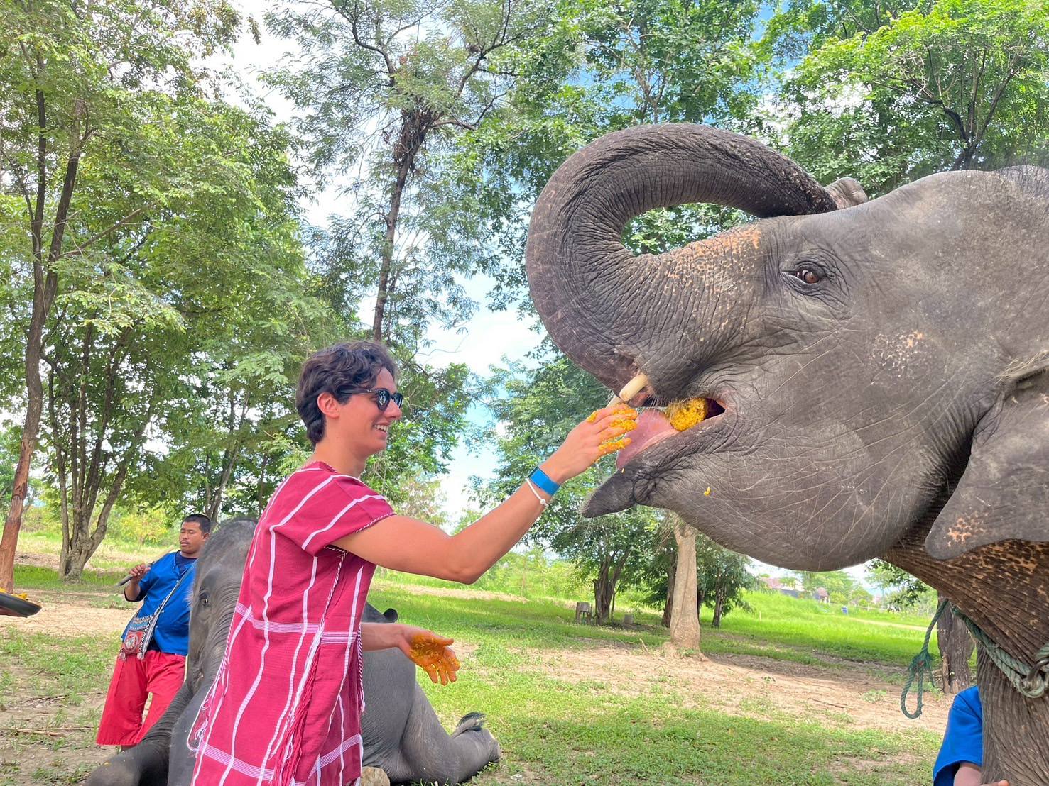 Pang Dee Dee For the Good Times with elephants in Chiangmai | ปาง ดี ดี เชียงใหม่