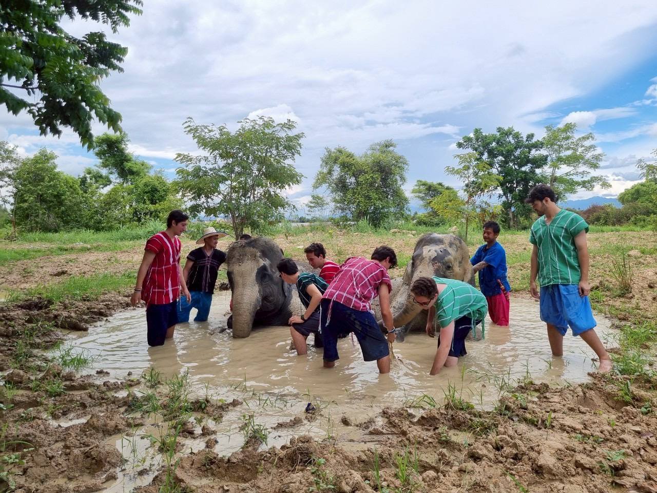 Pang Dee Dee For the Good Times with elephants in Chiangmai | ปาง ดี ดี เชียงใหม่