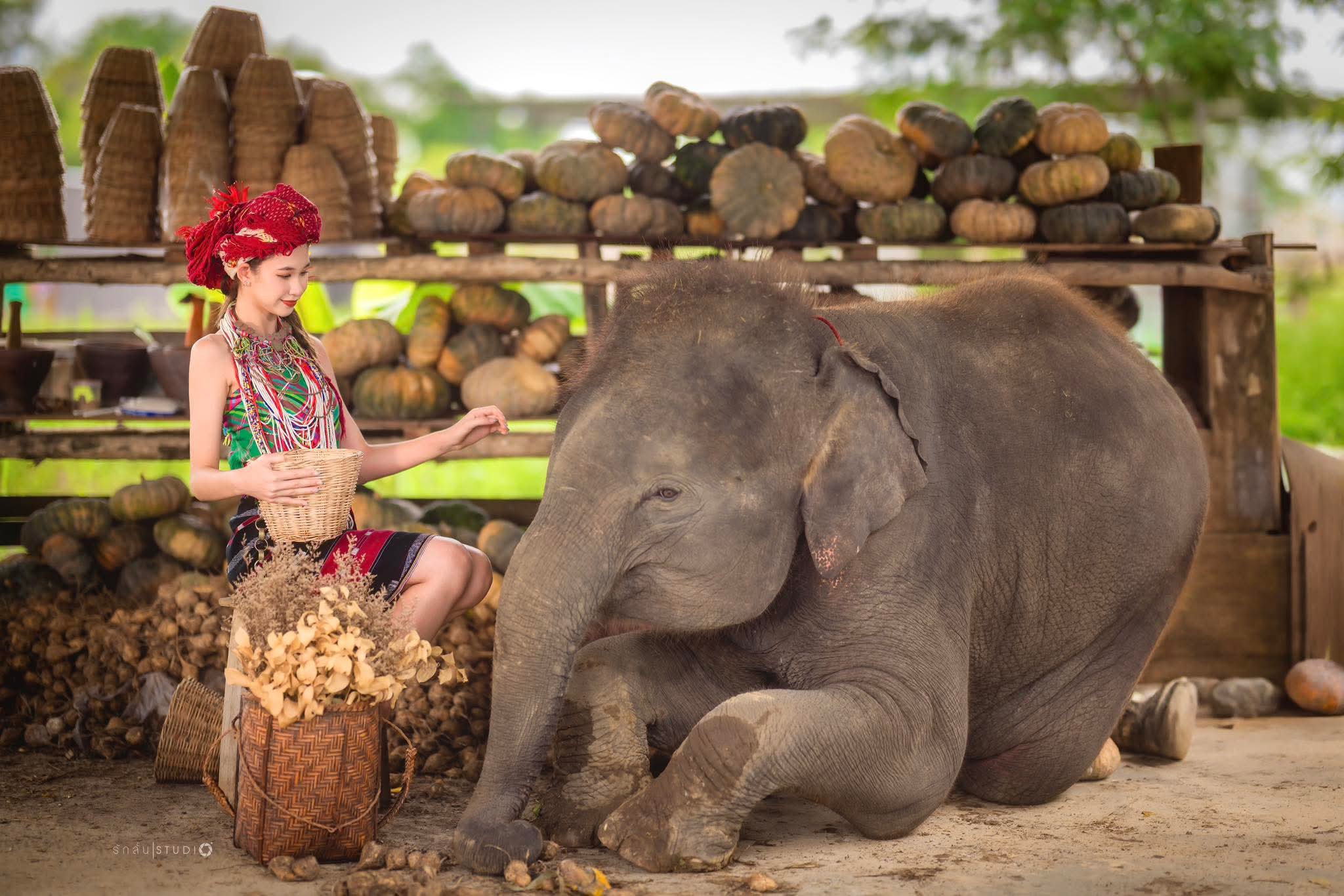 521421619_122126439380876724_6371142845104878384_n.jpg (456 KB)