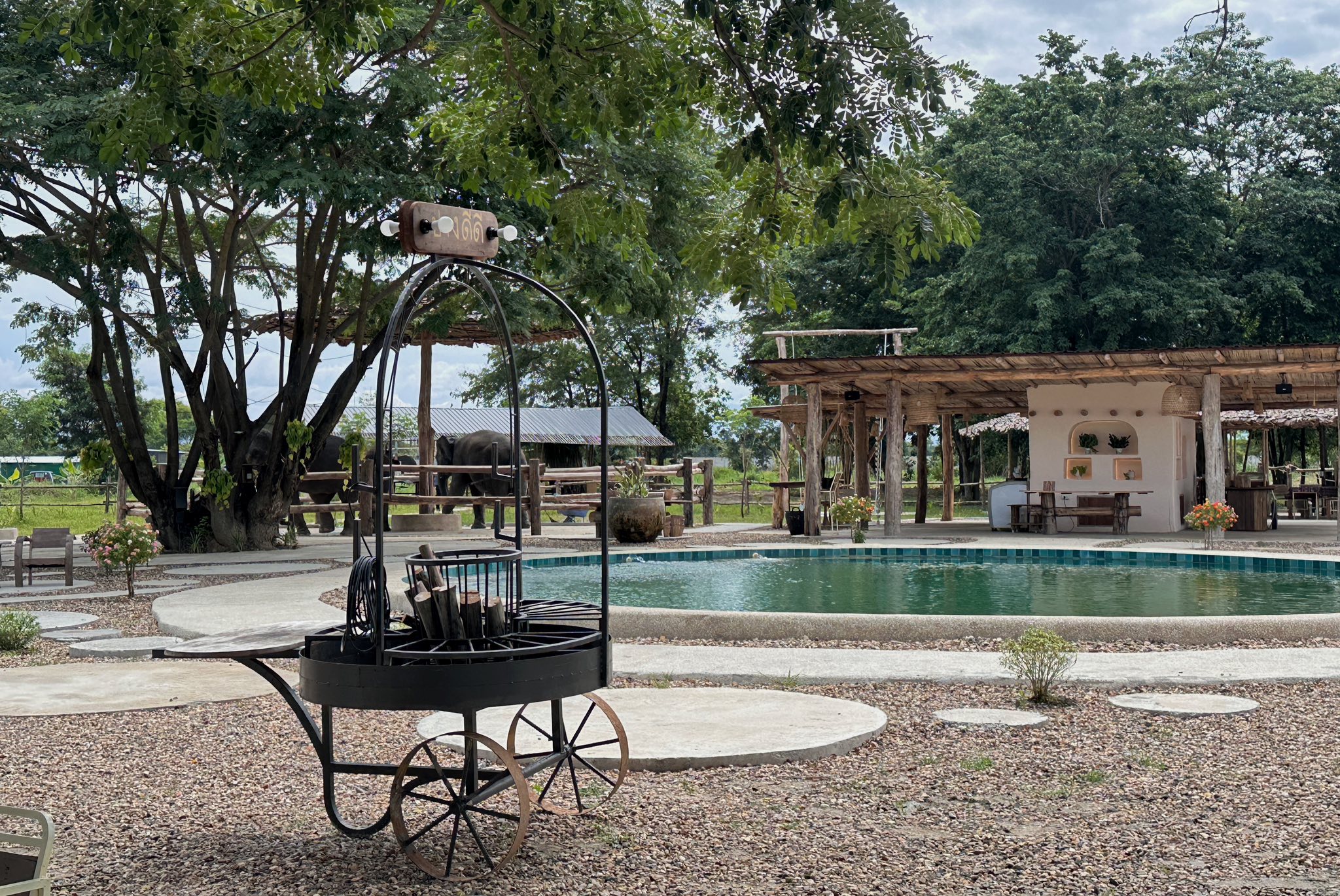 Pang Dee Dee For the Good Times with elephants in Chiangmai | ปาง ดี ดี เชียงใหม่