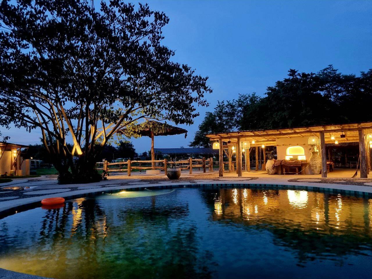 Pang Dee Dee For the Good Times with elephants in Chiangmai | ปาง ดี ดี เชียงใหม่