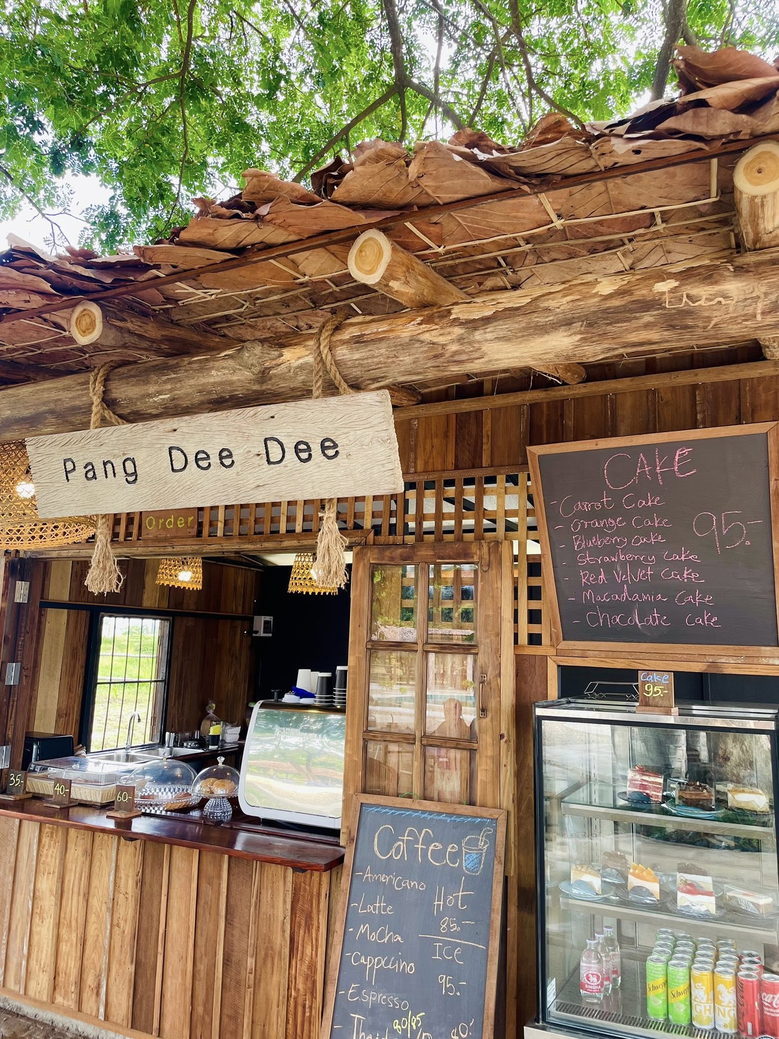Pang Dee Dee For the Good Times with elephants in Chiangmai | ปาง ดี ดี เชียงใหม่