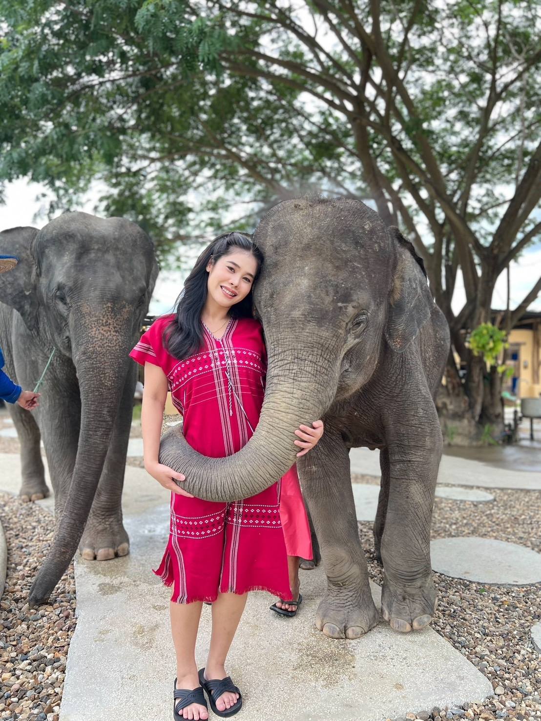 Pang Dee Dee For the Good Times with elephants in Chiangmai | ปาง ดี ดี เชียงใหม่