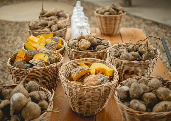 Pang Dee Dee For the Good Times with elephants in Chiangmai | ปาง ดี ดี เชียงใหม่