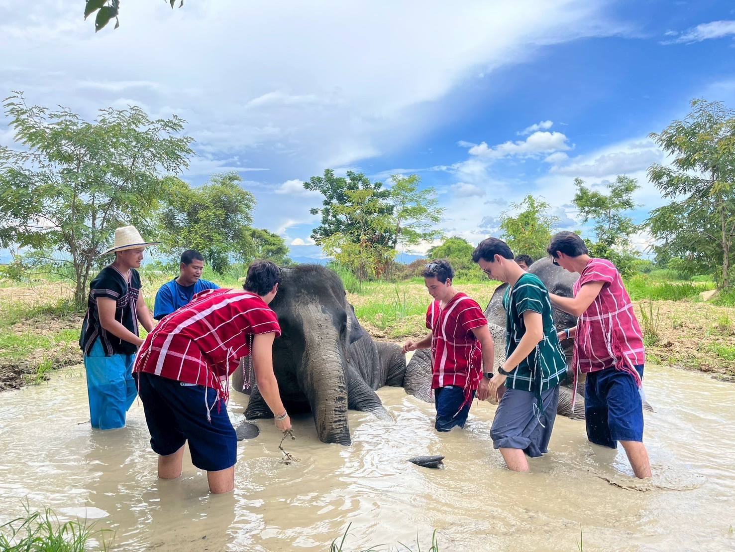 Pang Dee Dee For the Good Times with elephants in Chiangmai | ปาง ดี ดี เชียงใหม่