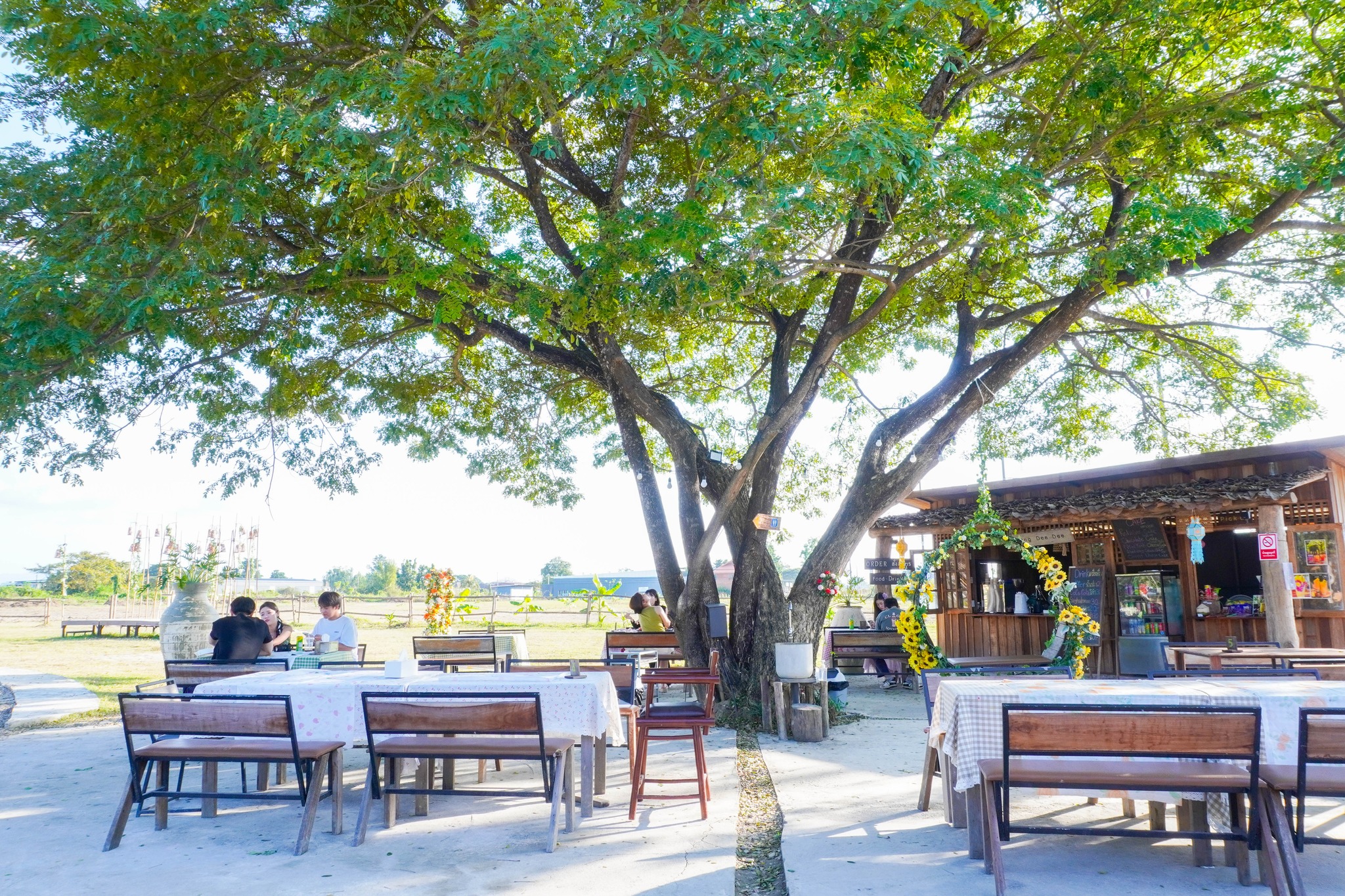 Pang Dee Dee For the Good Times with elephants in Chiangmai | ปาง ดี ดี เชียงใหม่