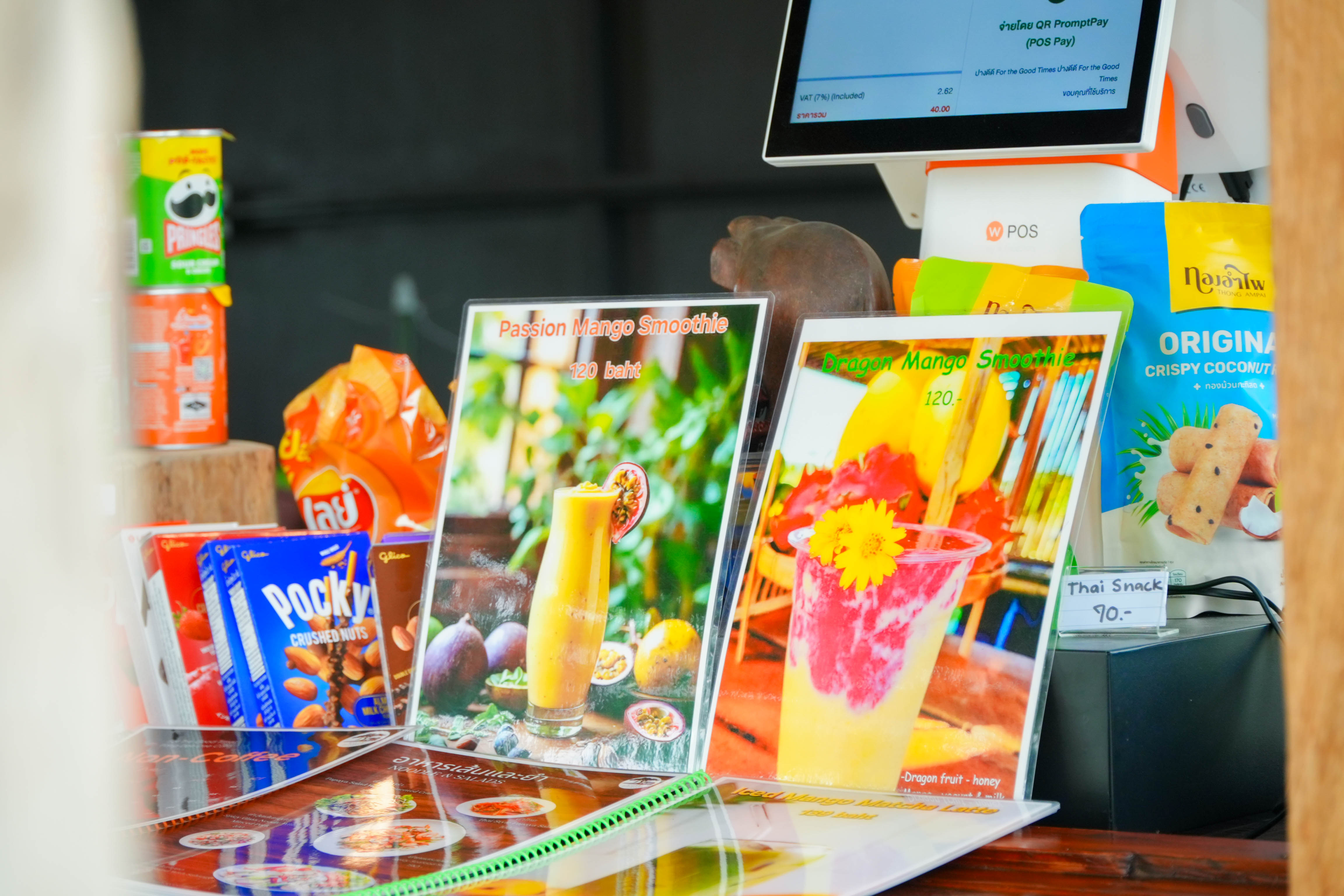 Pang Dee Dee For the Good Times with elephants in Chiangmai | ปาง ดี ดี เชียงใหม่