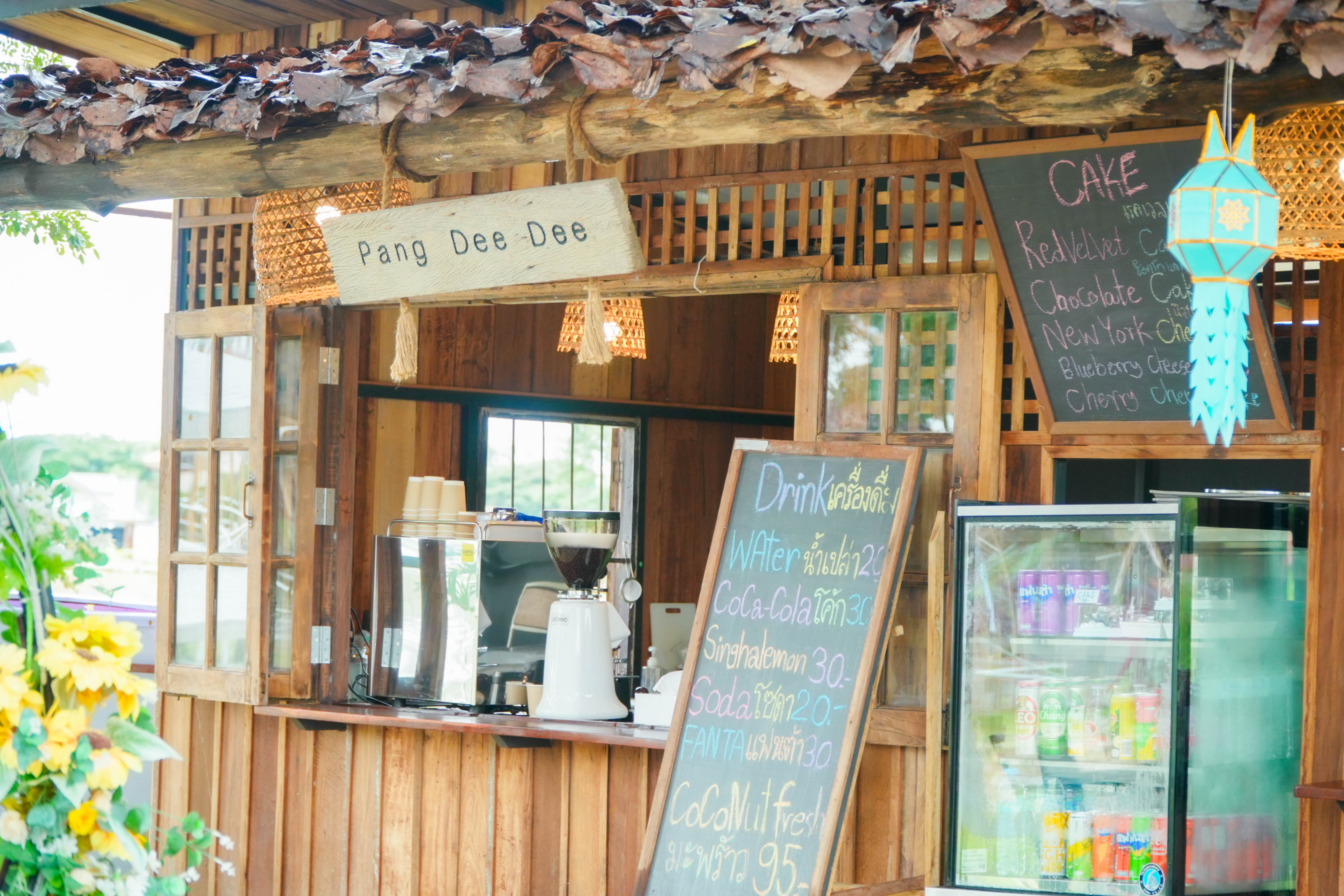 Pang Dee Dee For the Good Times with elephants in Chiangmai | ปาง ดี ดี เชียงใหม่