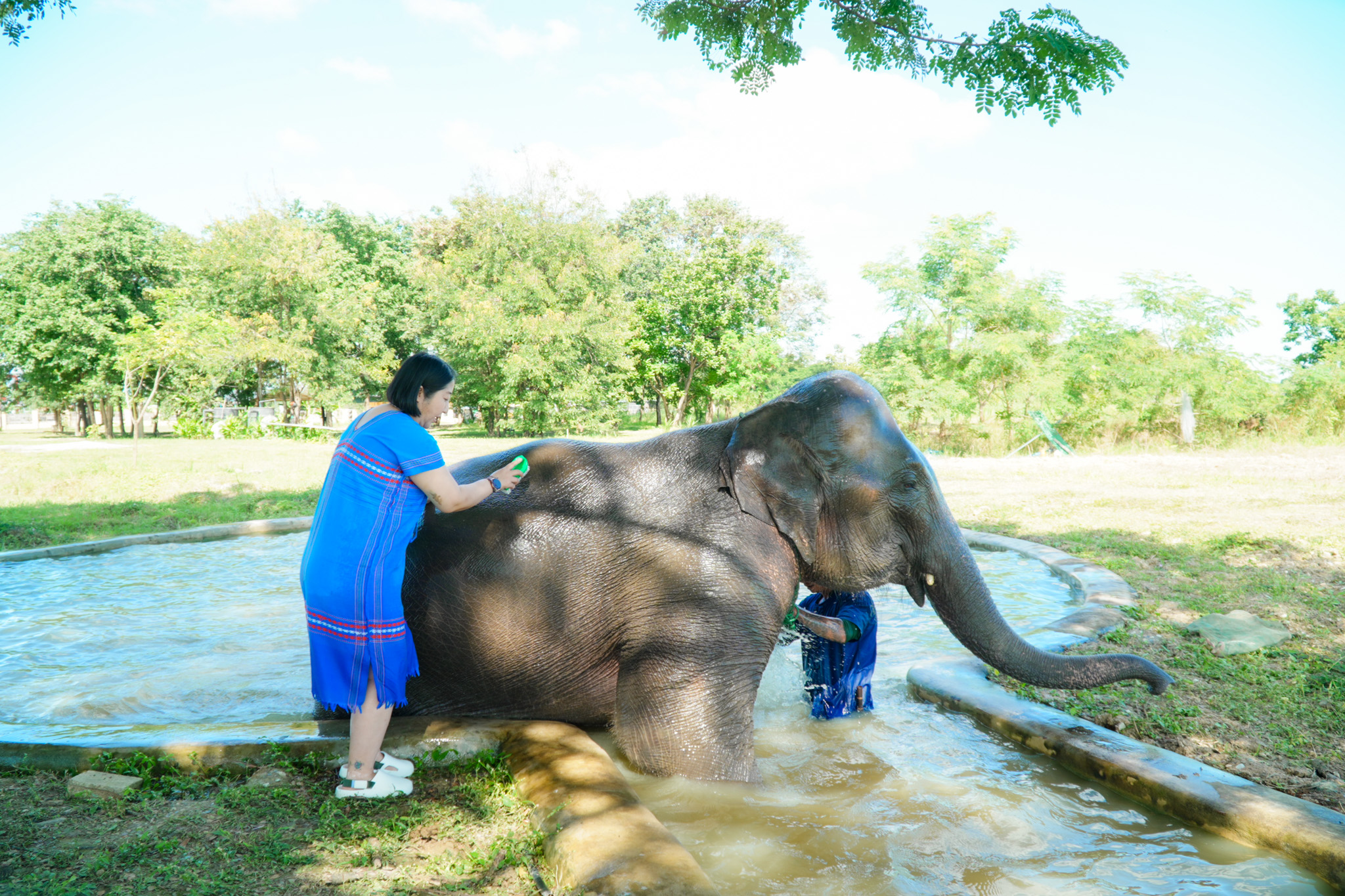 Pang Dee Dee For the Good Times with elephants in Chiangmai | ปาง ดี ดี เชียงใหม่