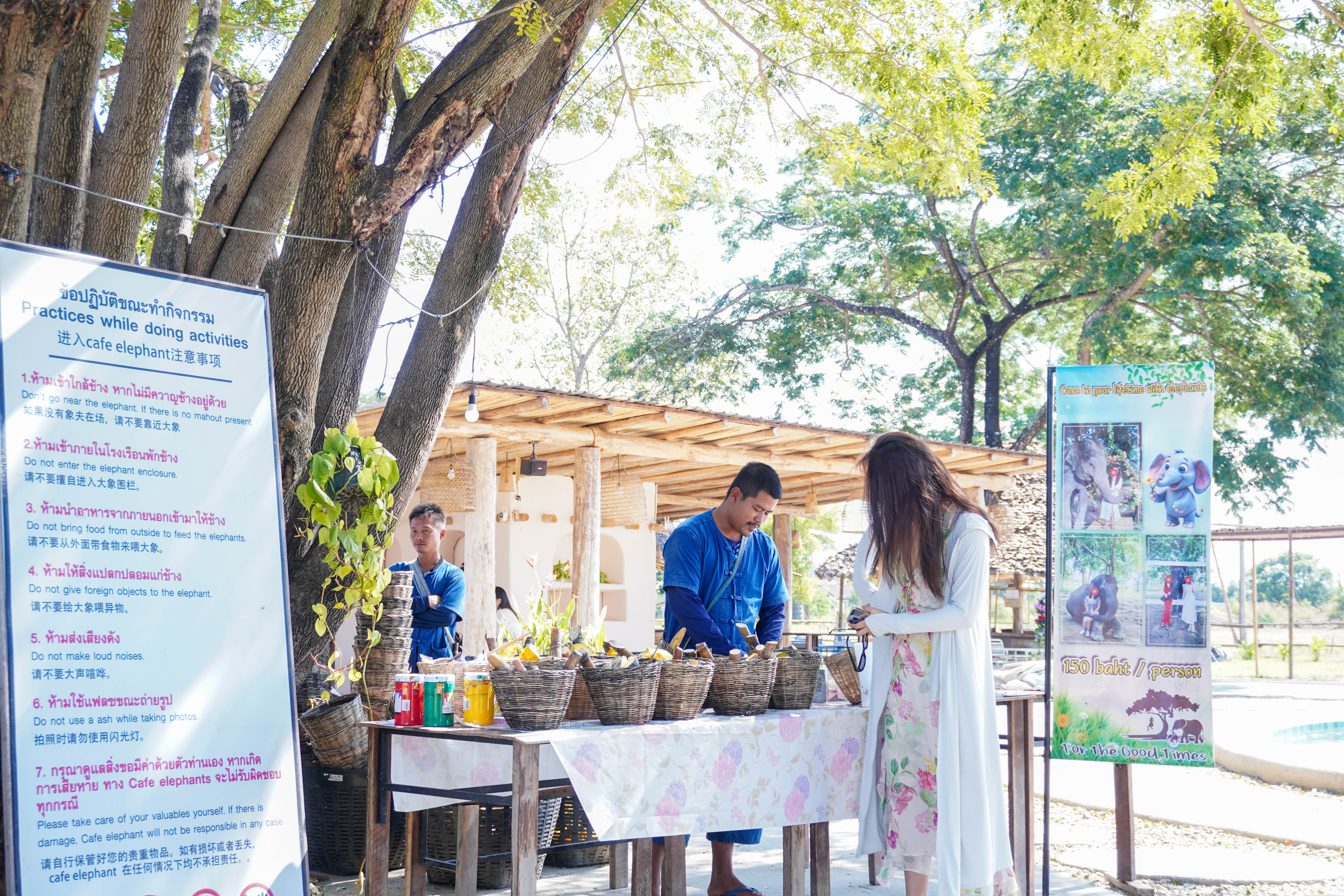 Pang Dee Dee For the Good Times with elephants in Chiangmai | ปาง ดี ดี เชียงใหม่