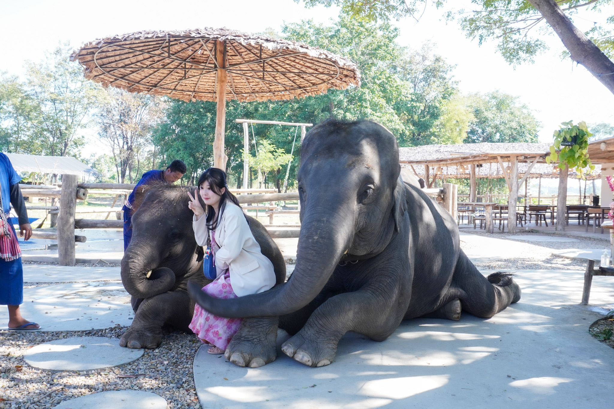 Pang Dee Dee For the Good Times with elephants in Chiangmai | ปาง ดี ดี เชียงใหม่