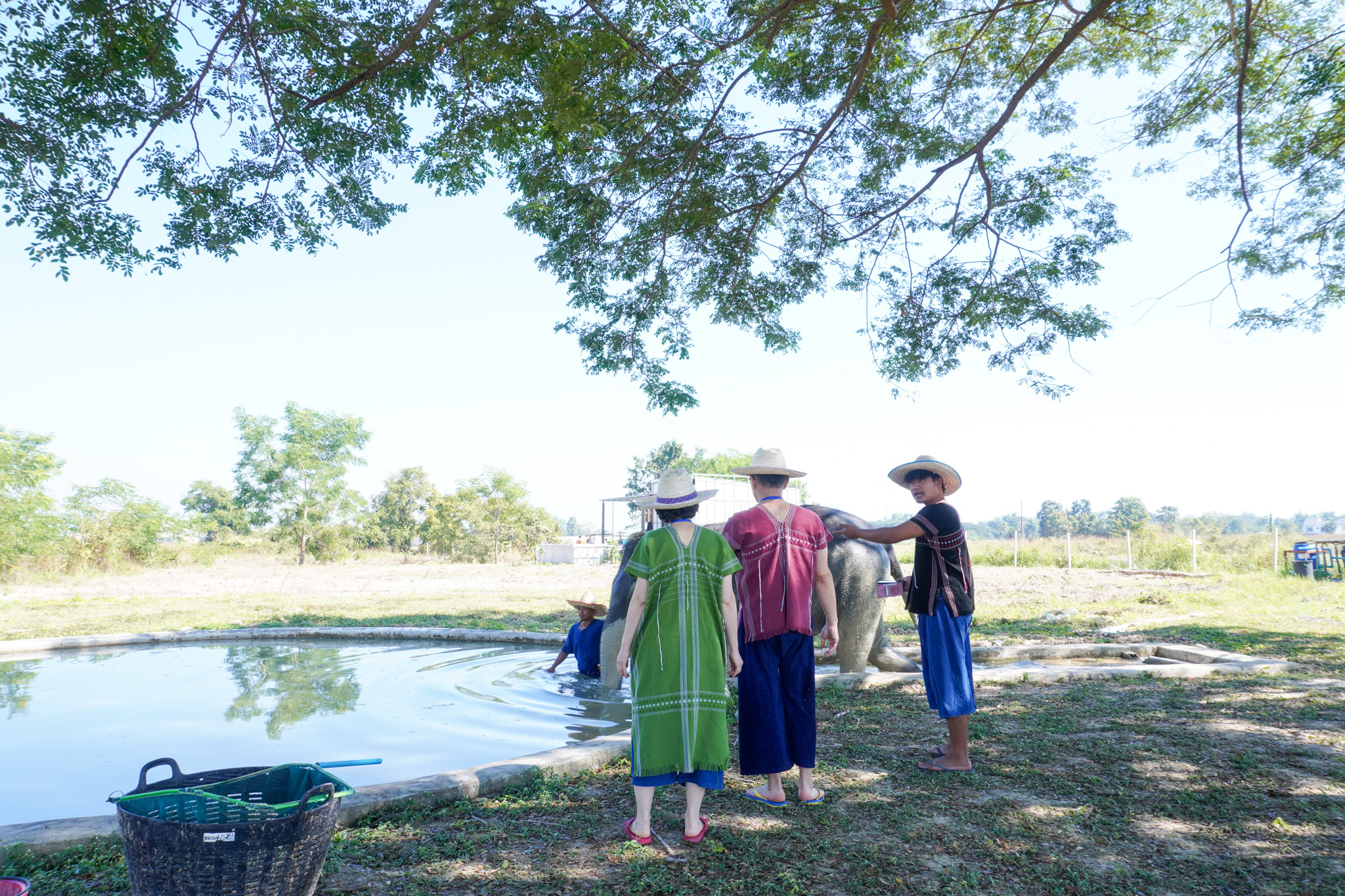 Pang Dee Dee For the Good Times with elephants in Chiangmai | ปาง ดี ดี เชียงใหม่