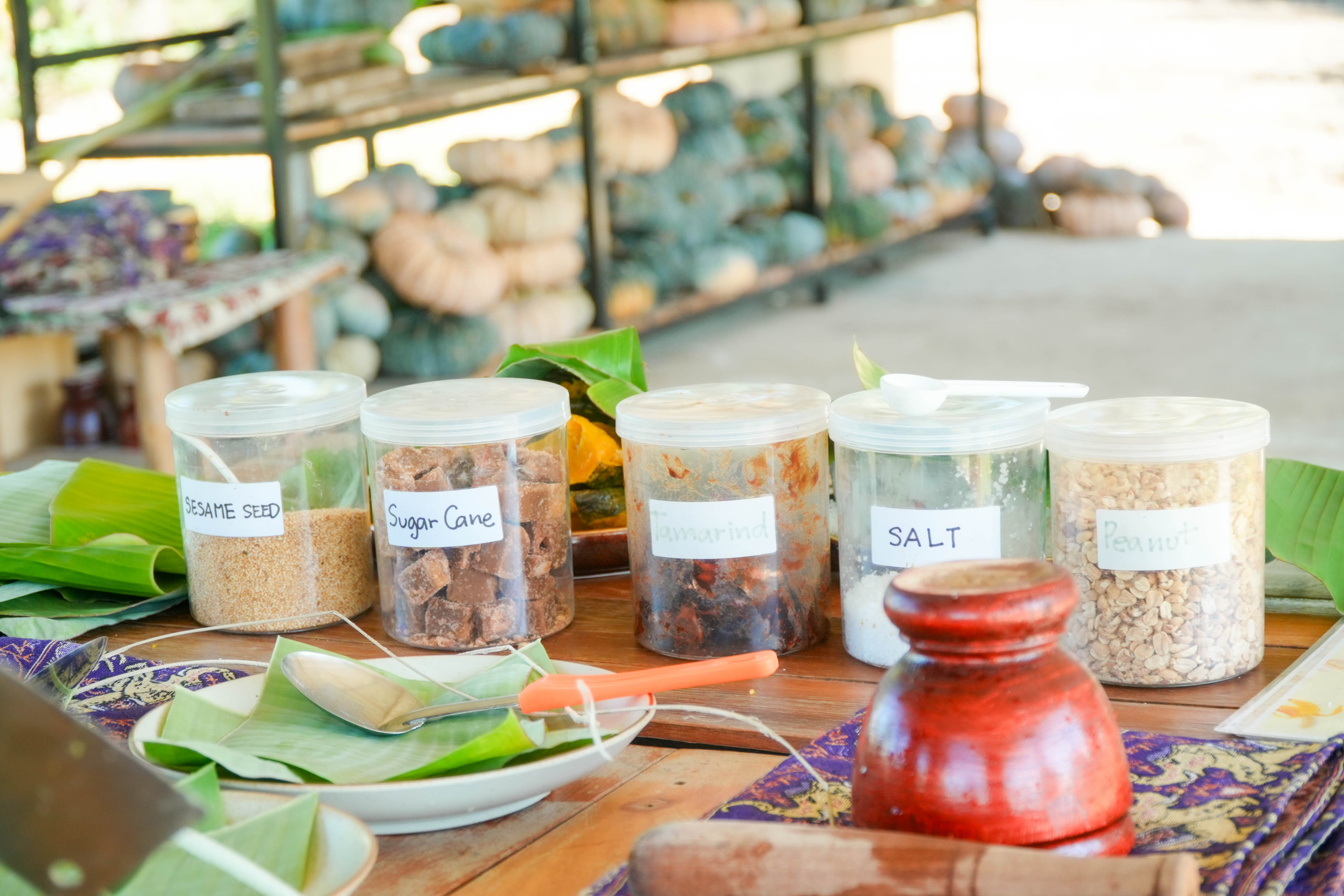 Pang Dee Dee For the Good Times with elephants in Chiangmai | ปาง ดี ดี เชียงใหม่