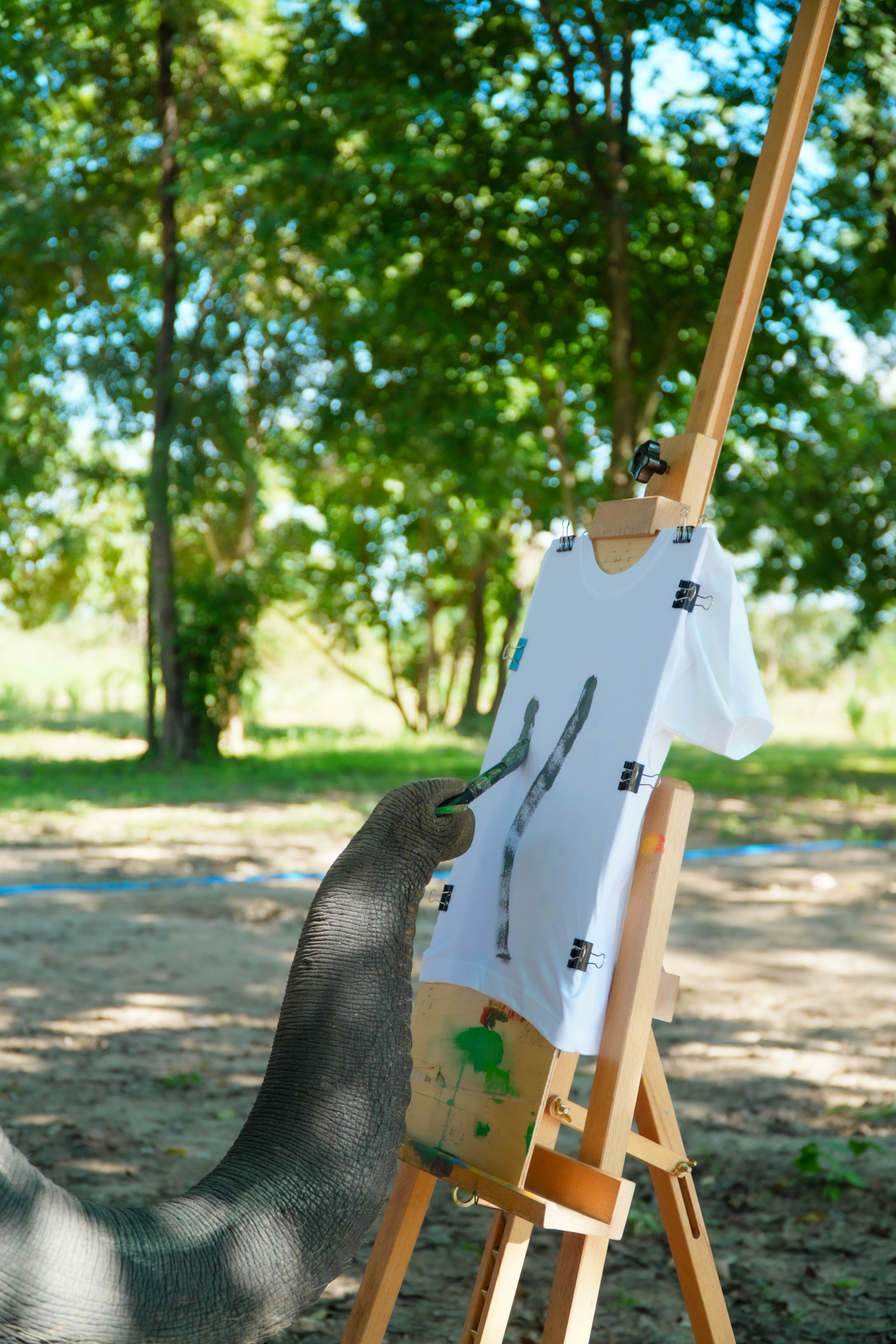 Pang Dee Dee For the Good Times with elephants in Chiangmai | ปาง ดี ดี เชียงใหม่