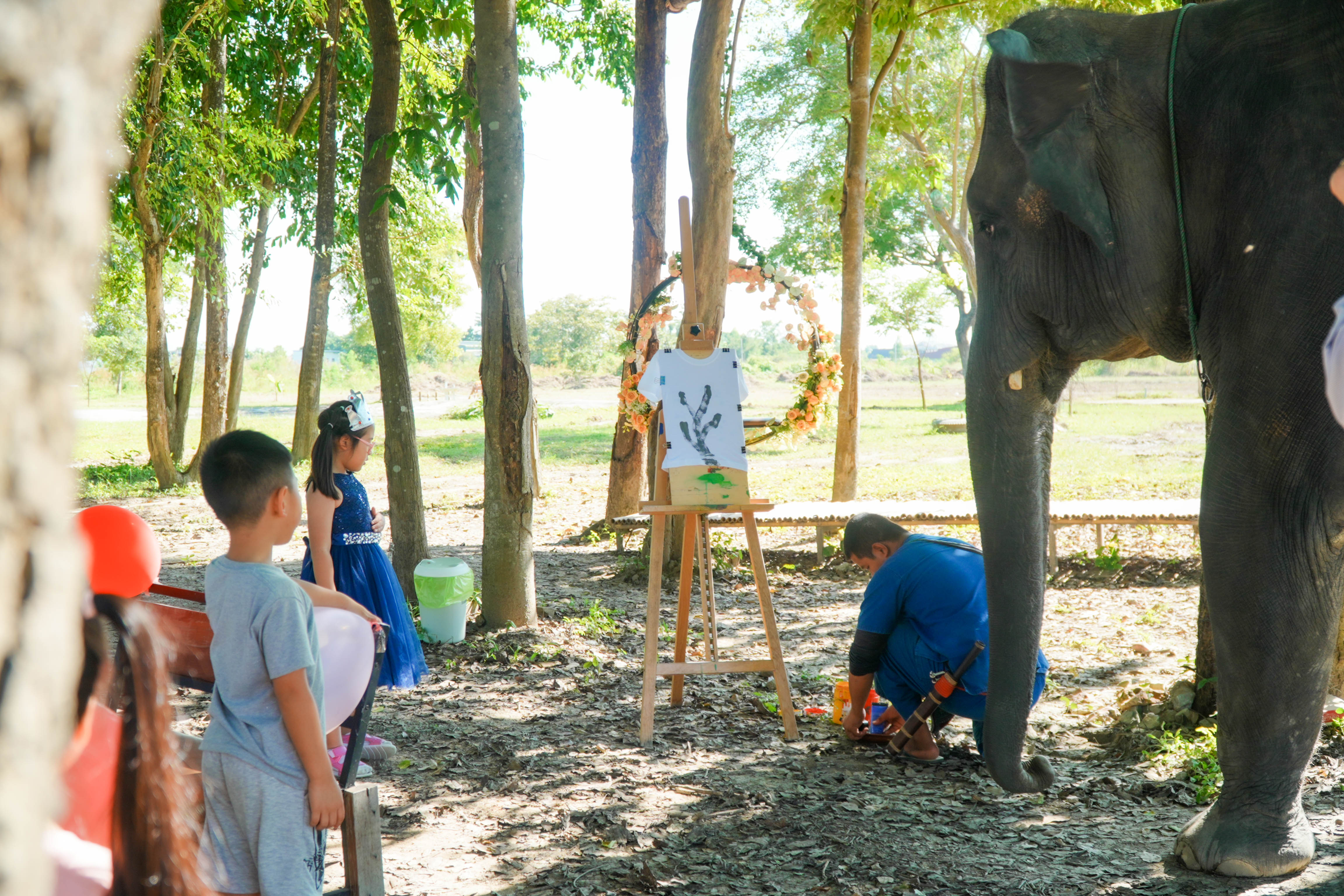Pang Dee Dee For the Good Times with elephants in Chiangmai | ปาง ดี ดี เชียงใหม่