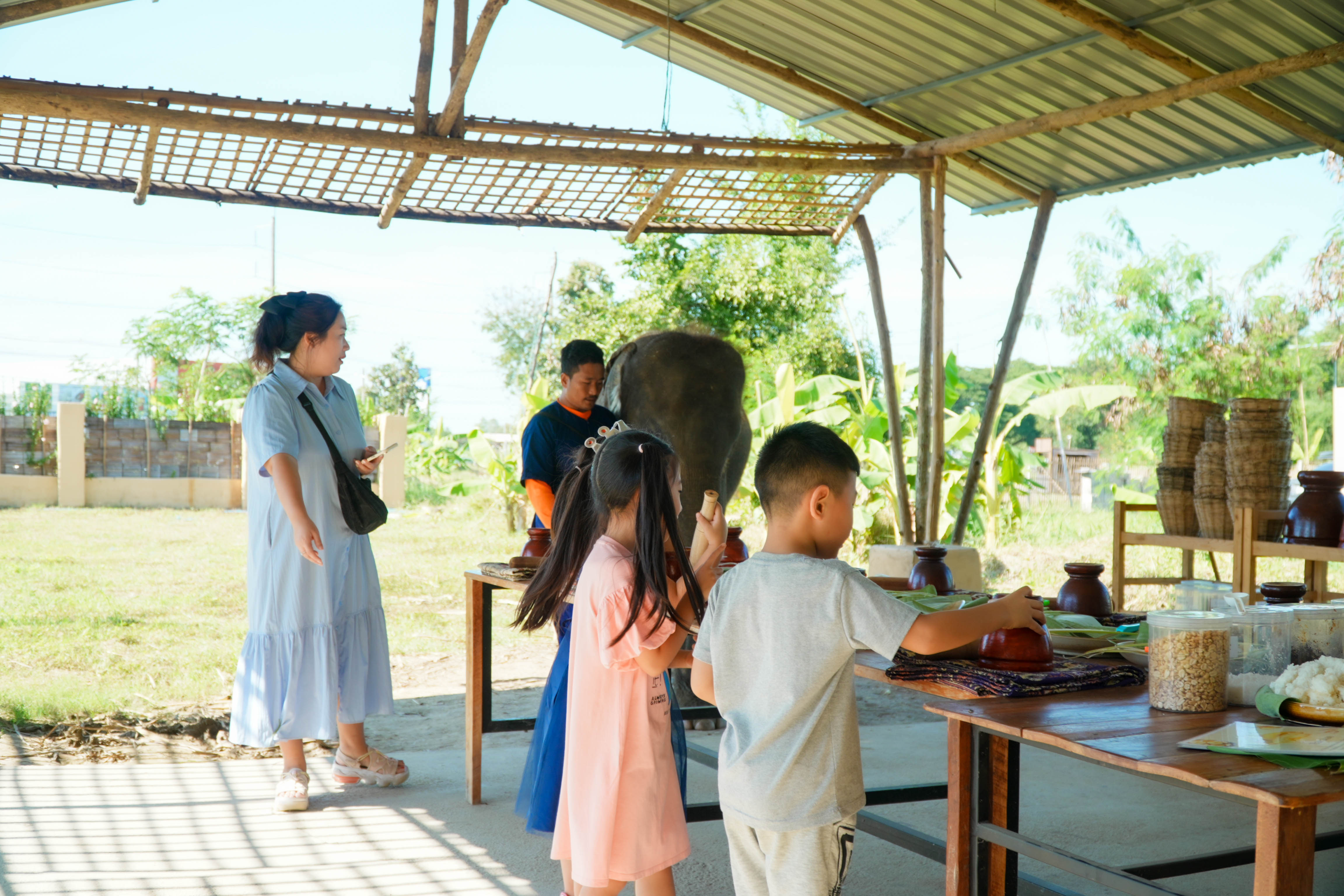 Pang Dee Dee For the Good Times with elephants in Chiangmai | ปาง ดี ดี เชียงใหม่