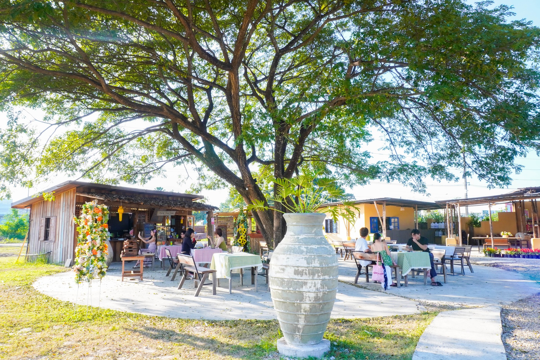 Pang Dee Dee For the Good Times with elephants in Chiangmai | ปาง ดี ดี เชียงใหม่