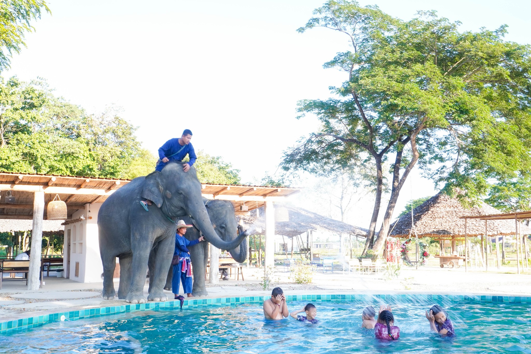 Pang Dee Dee For the Good Times with elephants in Chiangmai | ปาง ดี ดี เชียงใหม่